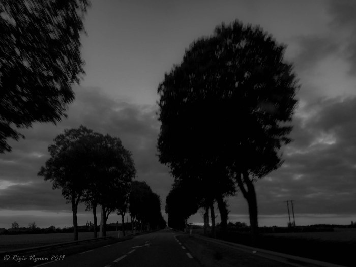 La route est entre deux chaos-2