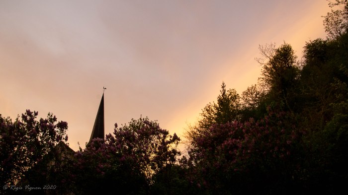 Lilas sur Clocher au lever
