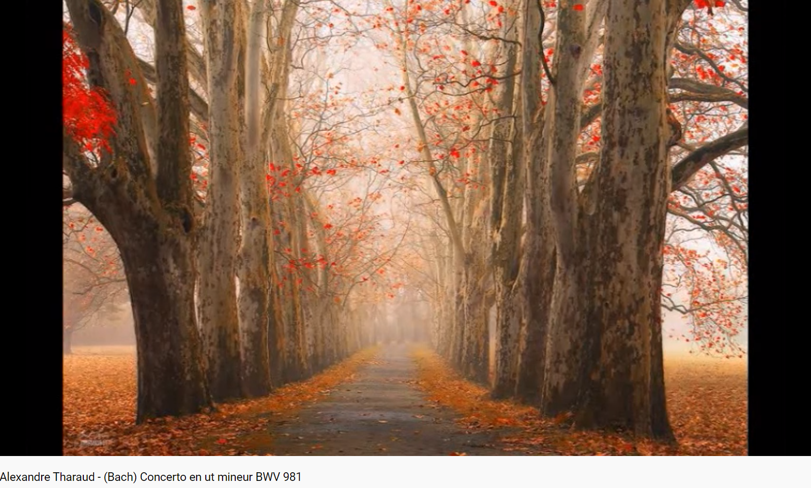 Bach Concerto en ut mineur BWV 981